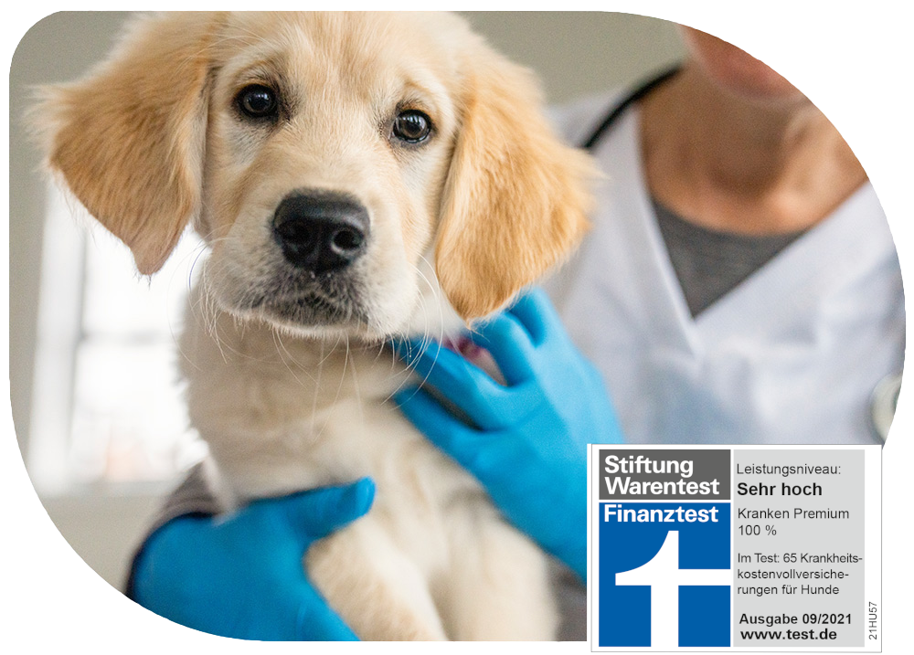 Content Hunde Krankenversicherung Siegel